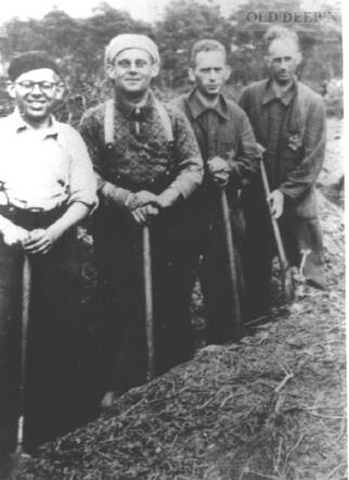 Diepenheimse joden in het werkkamp 'De Bruine Enk' bij Nunspeet.