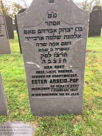 graf Ester.JPG