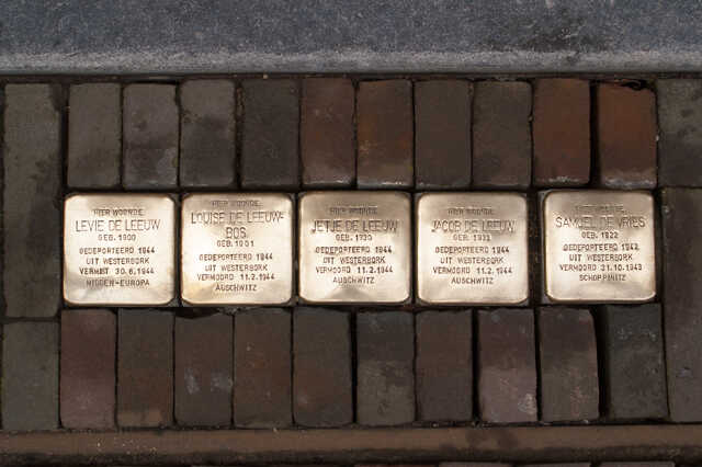 fam de leeuwStruikelstenen.jpg