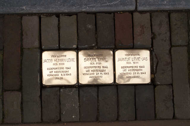 fam levie struikelstenen.jpg