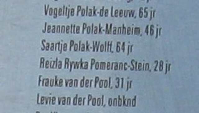 Stein Apeldoornsche bosch.JPG
