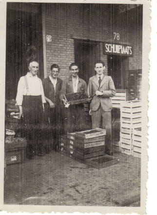Fruit Export Import Aaron Huisman