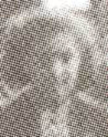 Hendrina (Lientje) van der Heijden