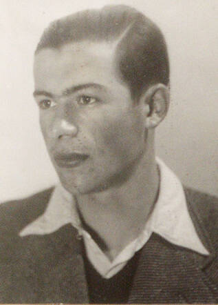 Hans Werner Stern