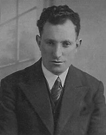 Levie Blog