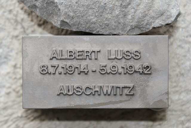 Albert Luss