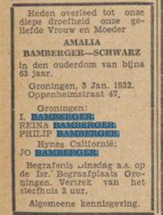 Amalia Bamberger-Schwarz