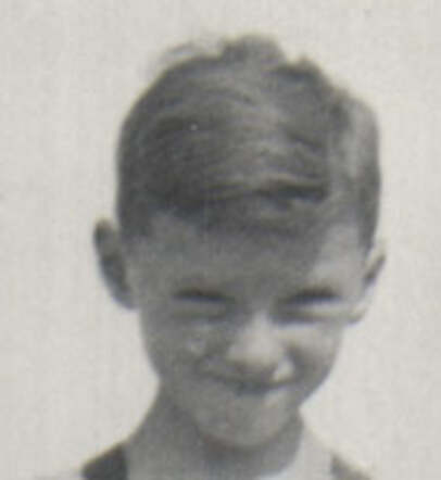 Alfred d'Ancona (cutting)