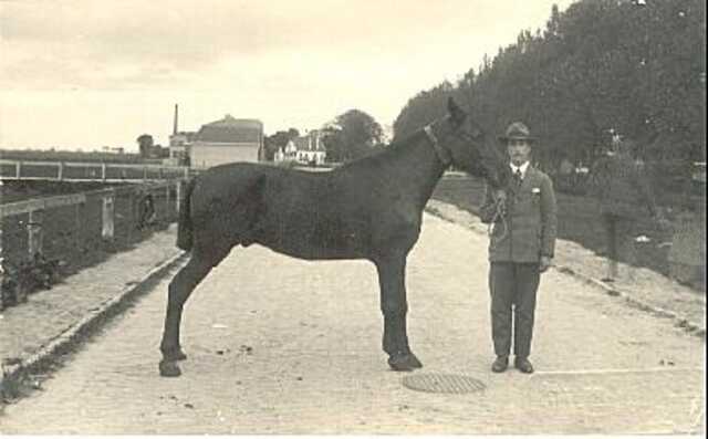 Andries Godfried