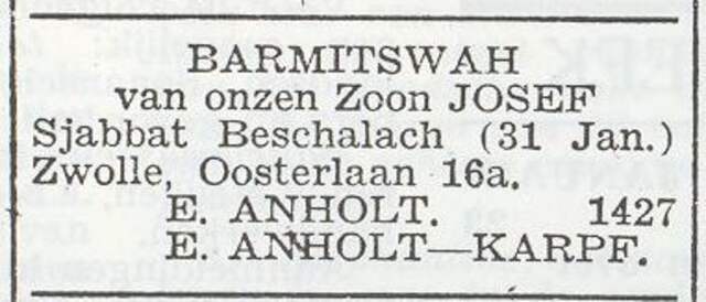 Josef Anholt