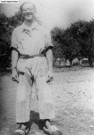 Arnold David (Effie) Koller