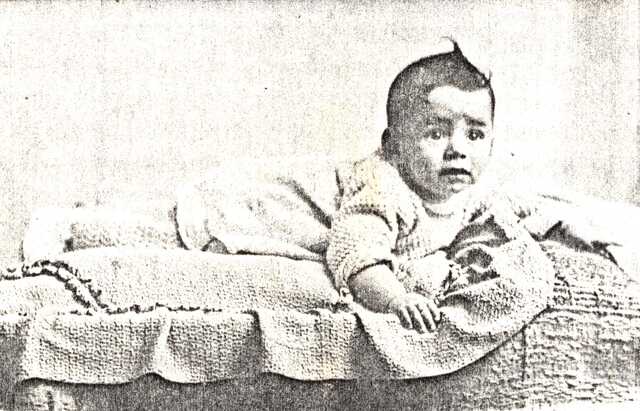 Sylvia van Been