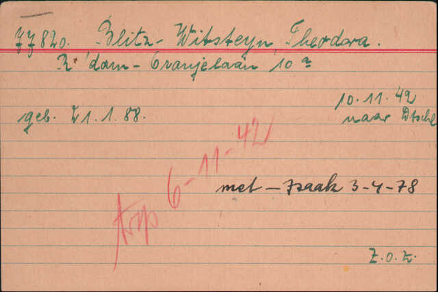 Blitz-Witsteyn