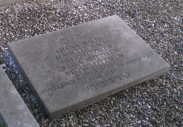 Memorial stone Chana Wachs-Sauerbrun
