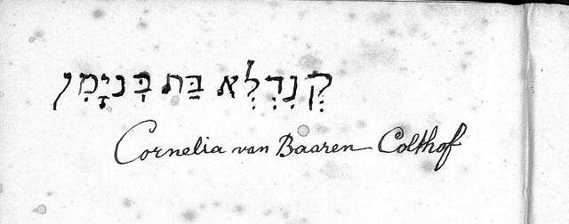 Copy: Titel (en)
