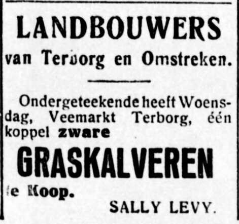 De Graafschap-bode nieuws- en advertentieblad, 11 september 1925, pag 2. Advertentie Salli Levij (Sally Levy)  voor  koppel zware graskalveren.