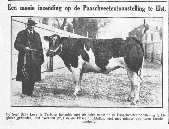 De Graafschap-bode nieuws- en advertentieblad, 31 maart 1933, dag, pag. 23.  Een puik beest.