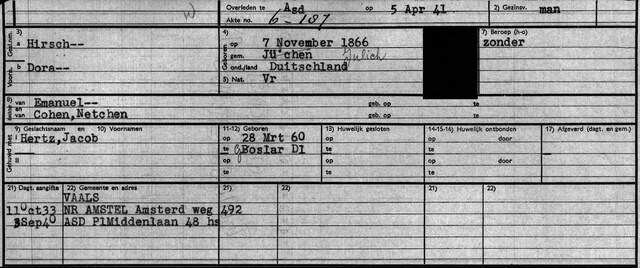 Dora Hirsch SAA