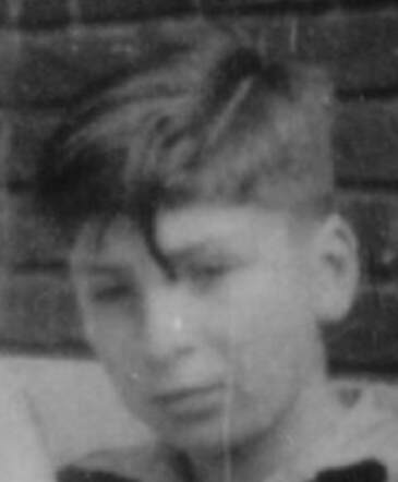 Ernst Hans van Esso (cutting)