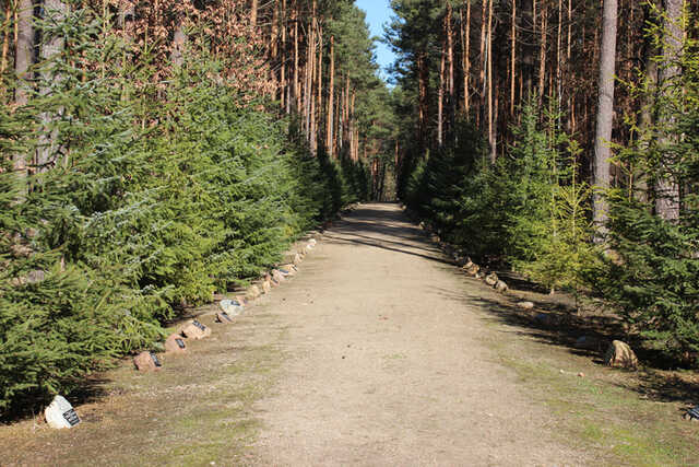 Gedenklaan in Sobibor, april 2013