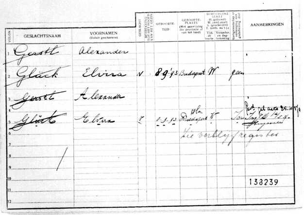 Gezinskaart Elvira Gerstl-Glück (voorkant) (2)
