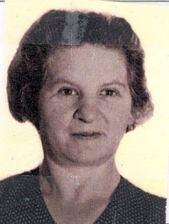 Gitel Cohn-Goldberg