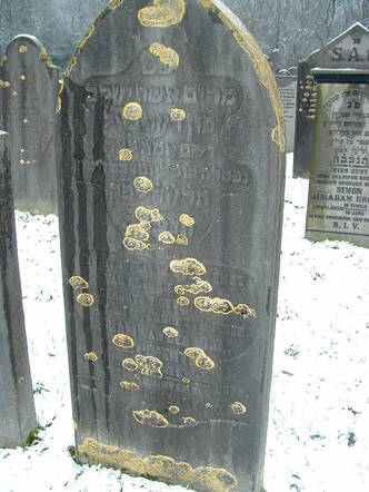 Grave MiriamPimentel_1.jpg