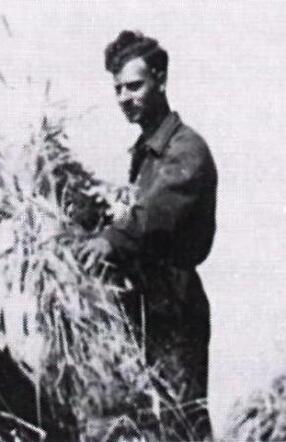 Hans Marius Koopal