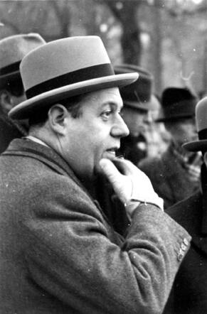 Helmuth Egon Wilhelm Wolff