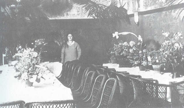 Henriette Stern-van Rhijn