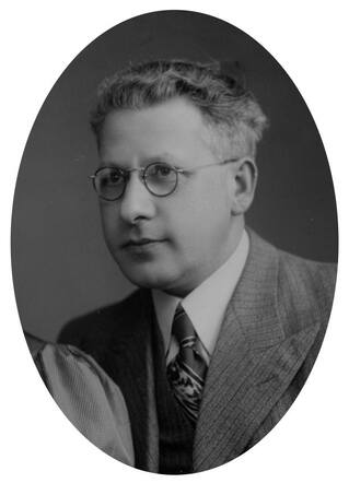 Henri Groen