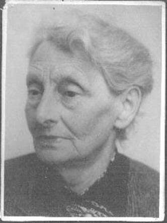 sophia de wilde-snuijf
