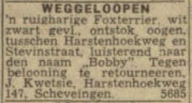 J. Kwetsie  Harstenhoekweg 147, Scheveningen: Bobby weggeloopen.