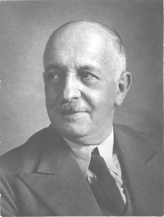 Julius van Dam