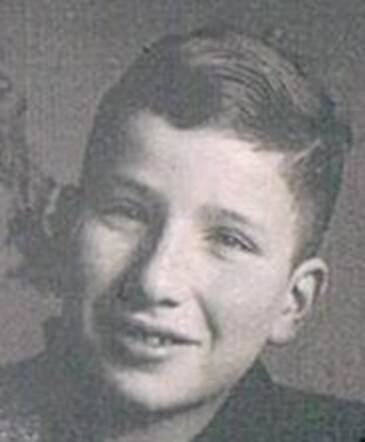 Barend Jozeph van Kreveld (cutting)