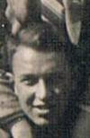 Leo van Dam