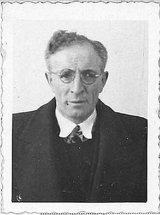 Levie Groen