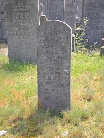 Levie van IJssel