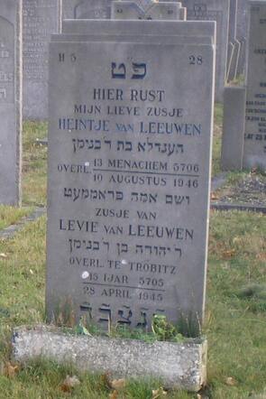 Levie van Leeuwen