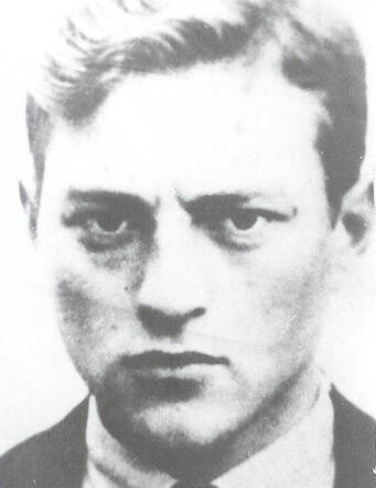 Levie Wallage