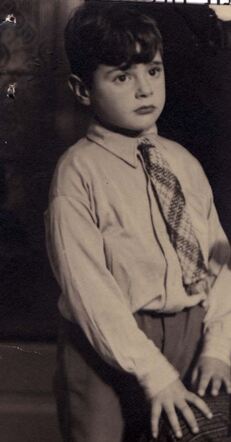 Louis Michel Simon Levin