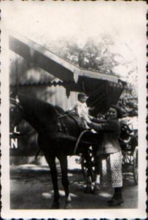 Henriëtte Cohen-Elburg