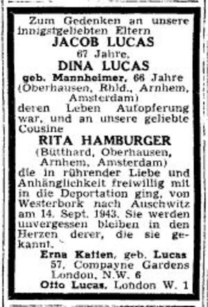 Lucas Hamburger