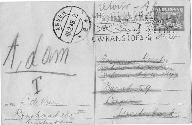 Postcard Marianne Heertje