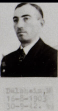 Max Dalsheim