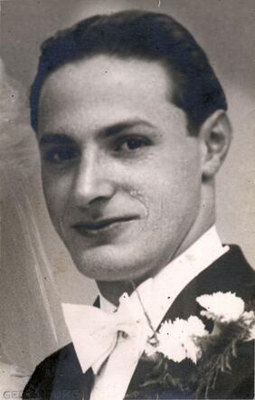 Meier Vieijra