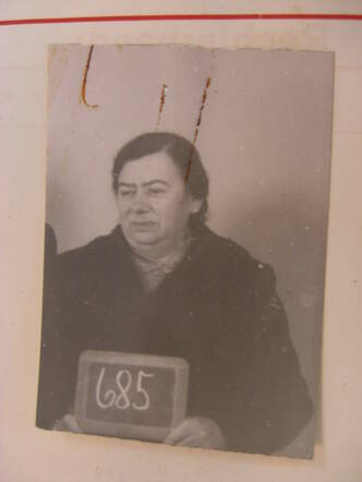 Hedwig Meijer-Regensteiner