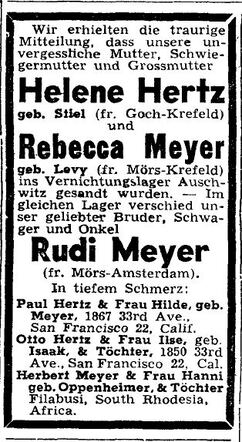 Rudi Meyer