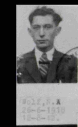 Nathan Abraham Wolf