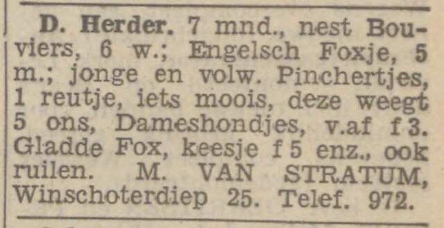 Nieuwsblad van het Noorden, 24 mei 1941, dag, pag. 7. Adv. van Mozes van Stratum.